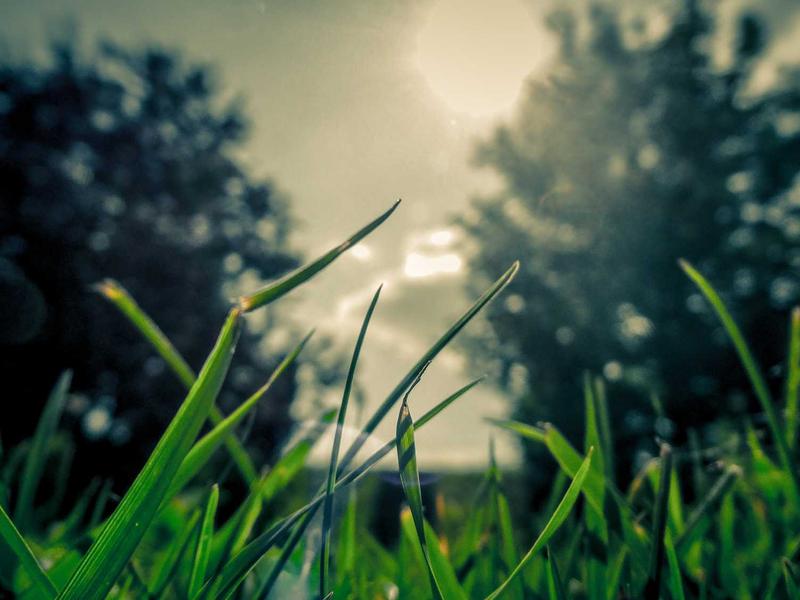 苹果ID退登教程<br>换机/出售前完整退出账号